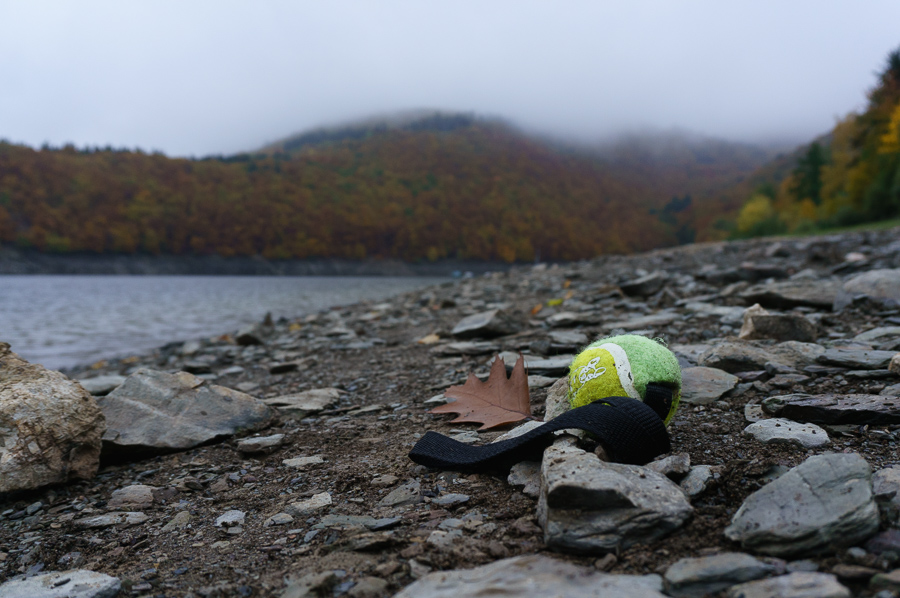 20151025 DSC02459