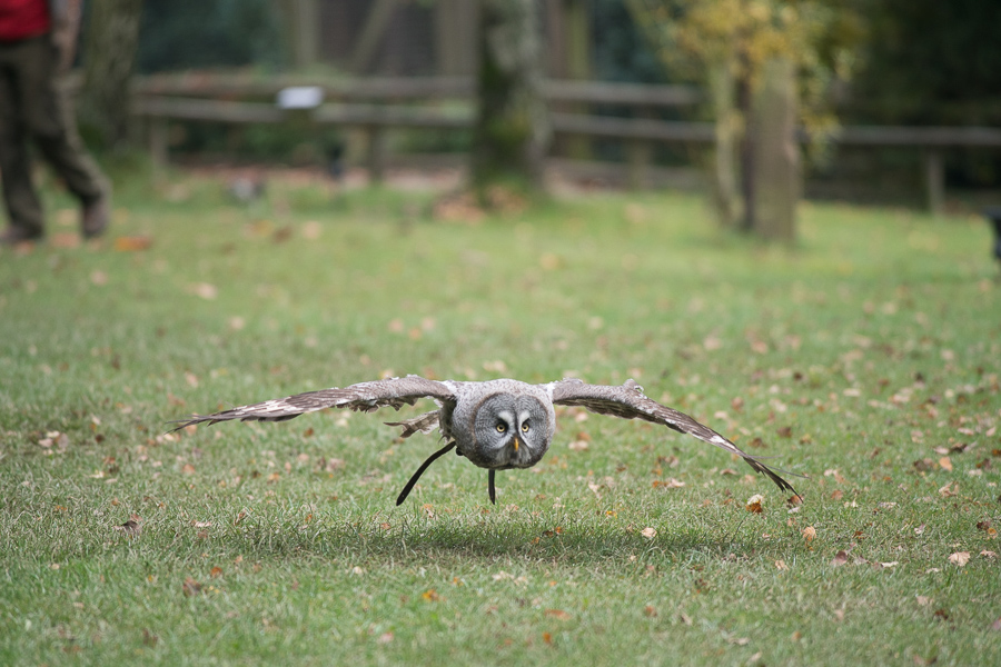 20151026 DSC02605