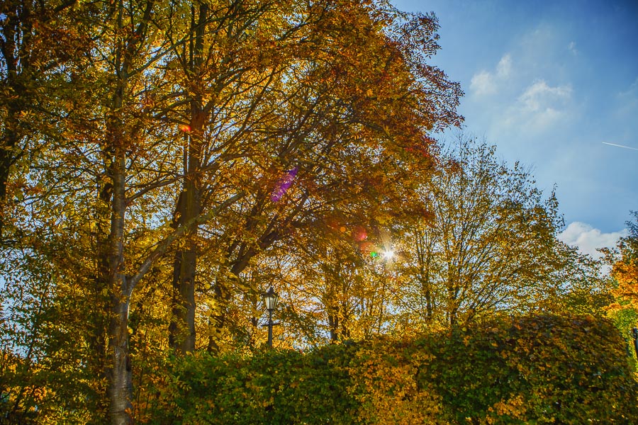 20151026 DSC02710