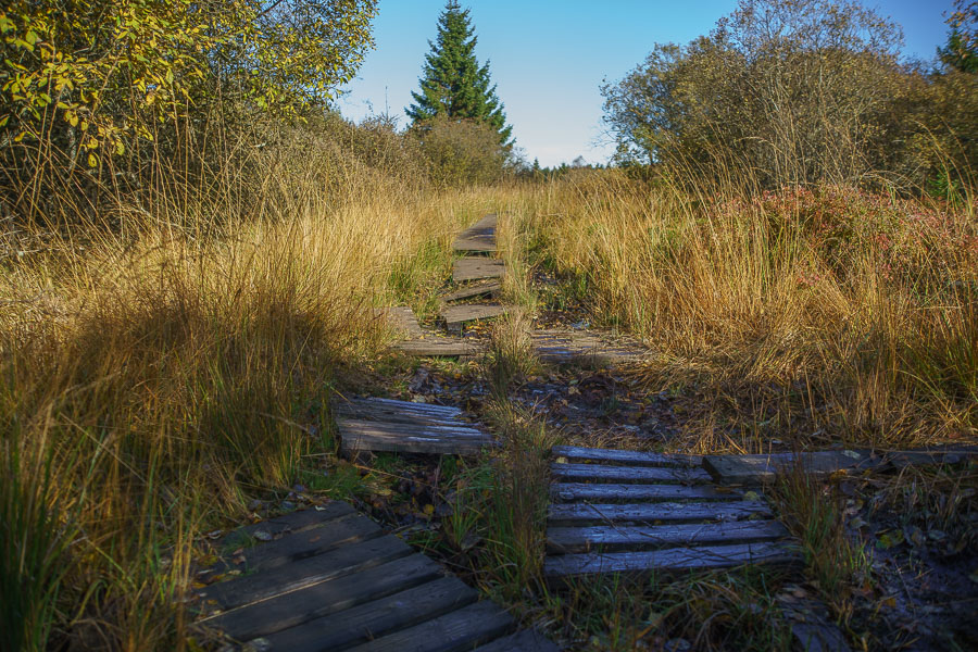 20151027 DSC02739