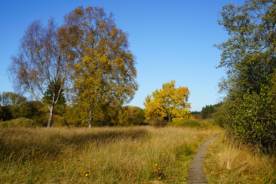 20151027 DSC02744