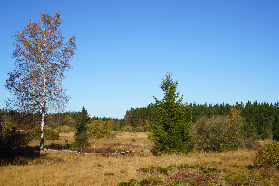 20151027 DSC02745