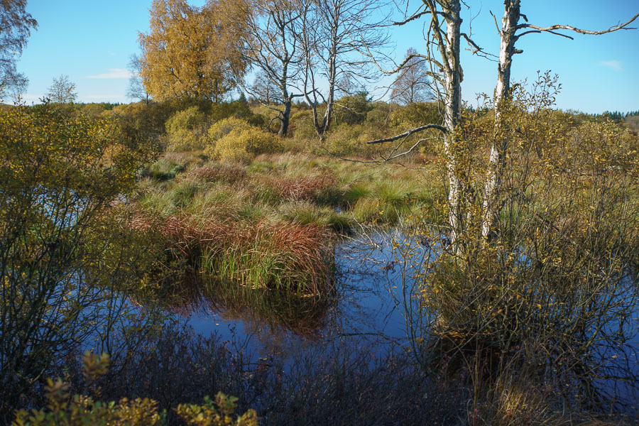 20151027 DSC02746