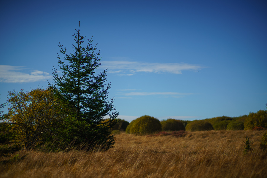 20151027 DSC02750