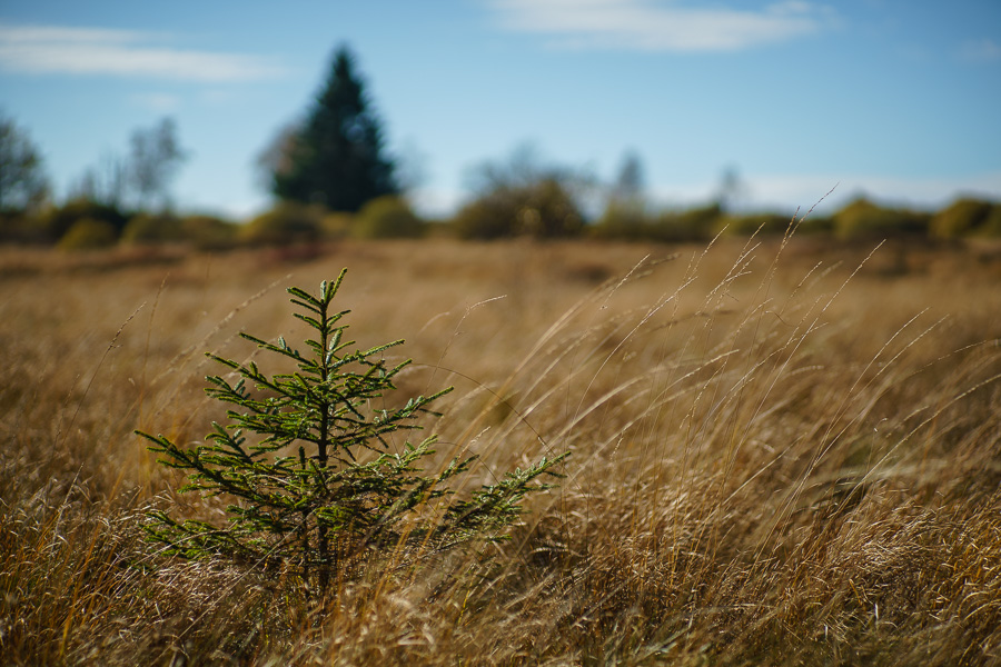 20151027 DSC02752