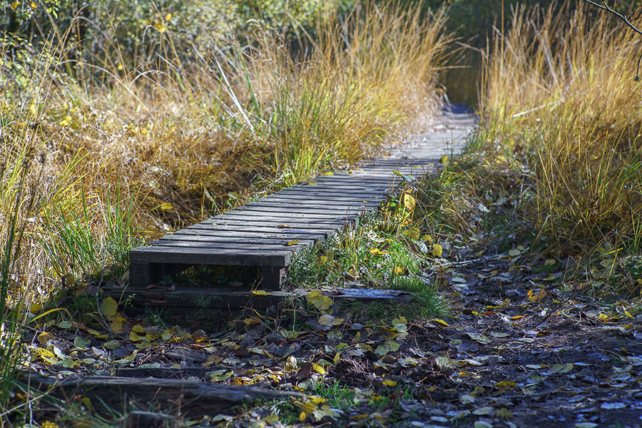20151027 DSC02766
