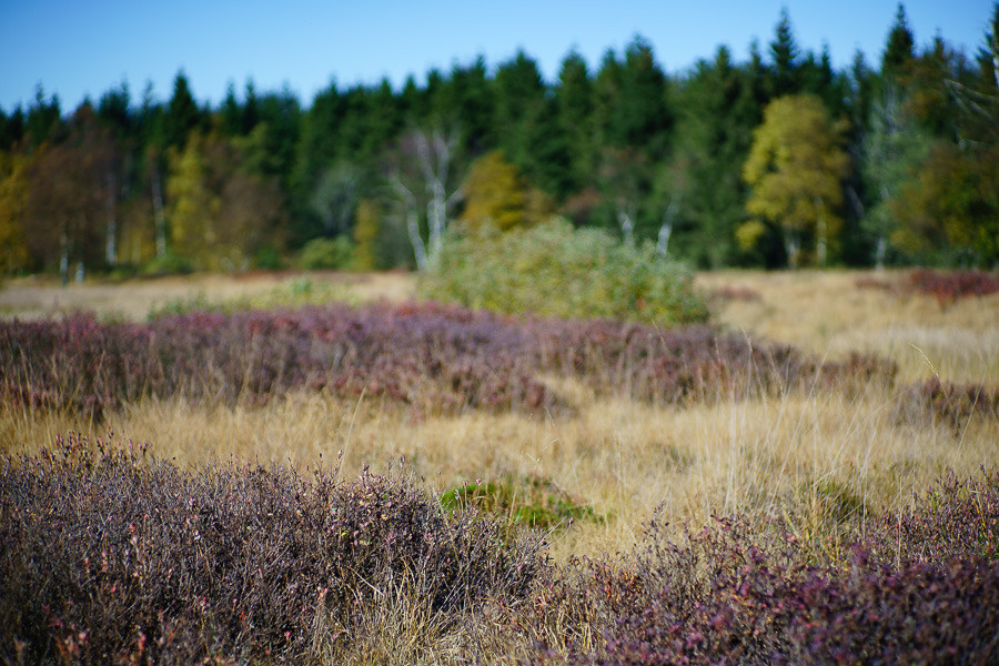 20151027 DSC02777