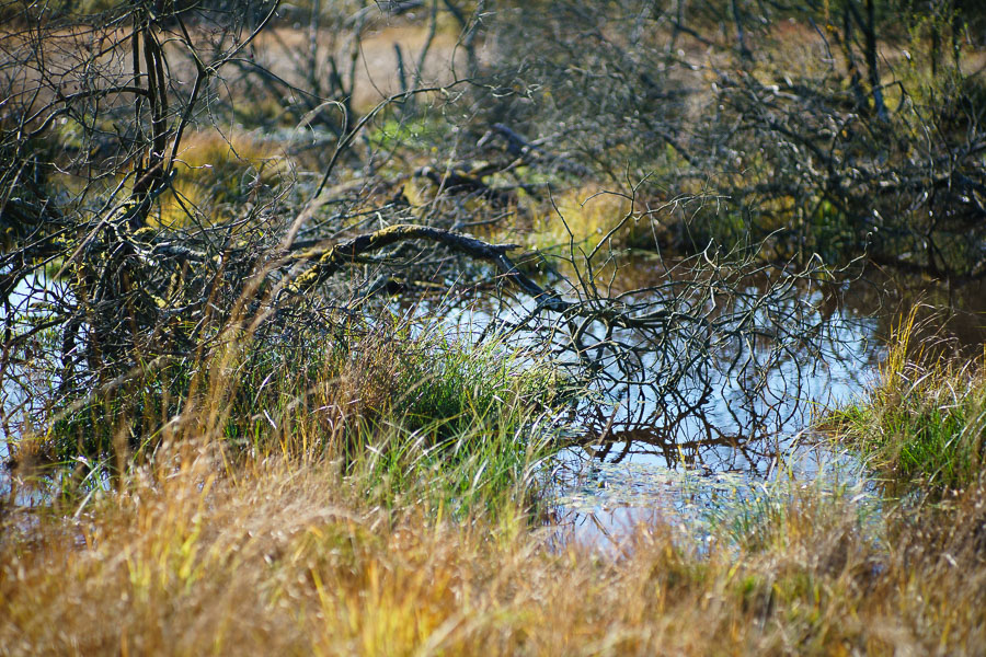 20151027 DSC02778