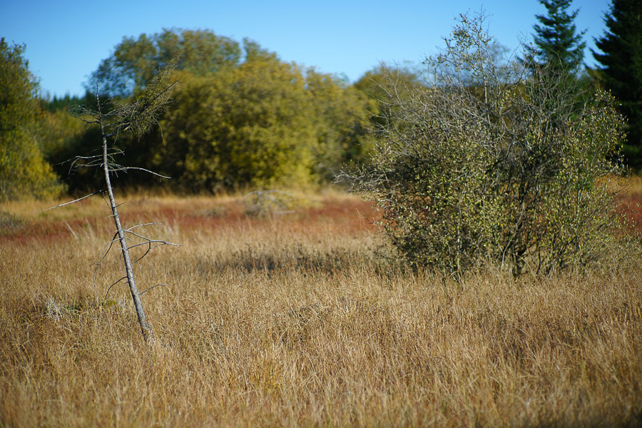 20151027 DSC02789