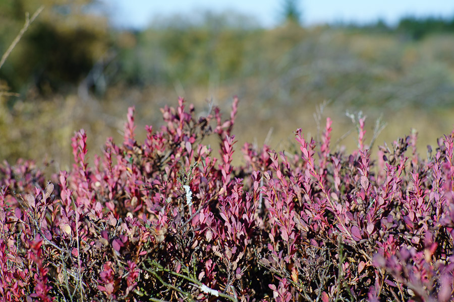 20151027 DSC02791
