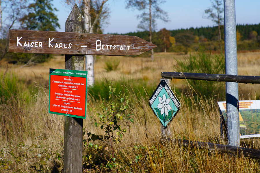 20151027 DSC02794