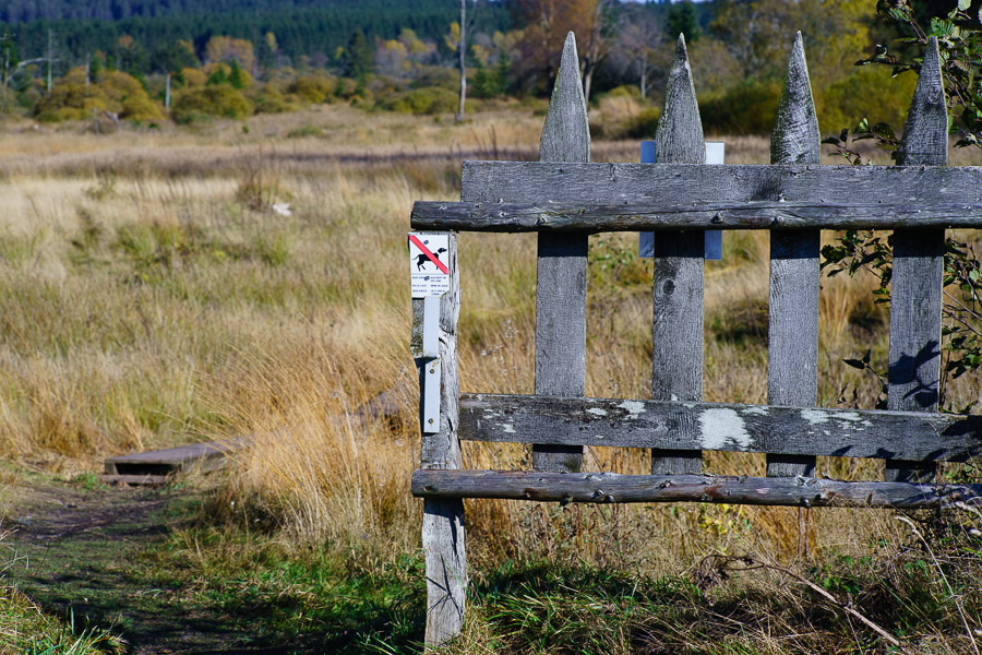 20151027 DSC02795