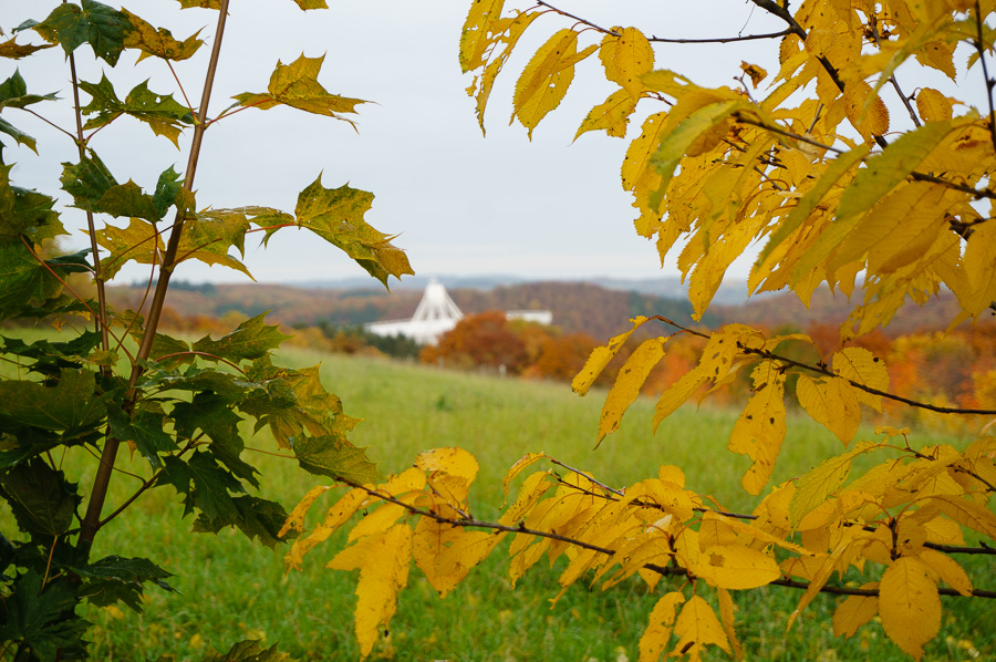 20151028 DSC02541