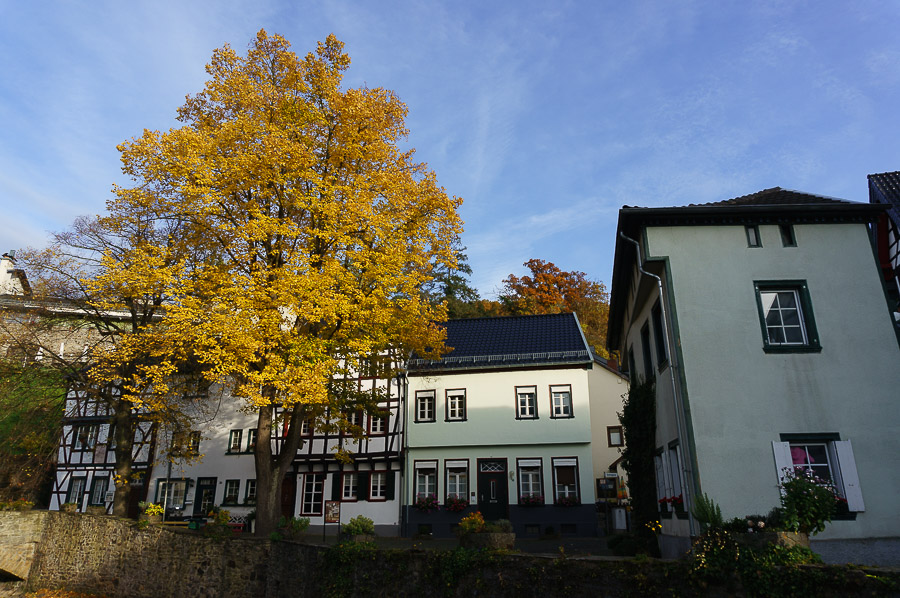 20151028 DSC02543