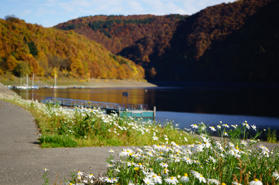 20151029 DSC02557