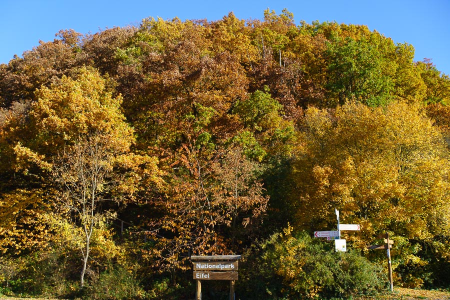 20151029 DSC02940