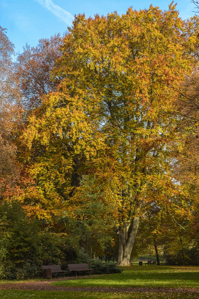 20151031  D716476