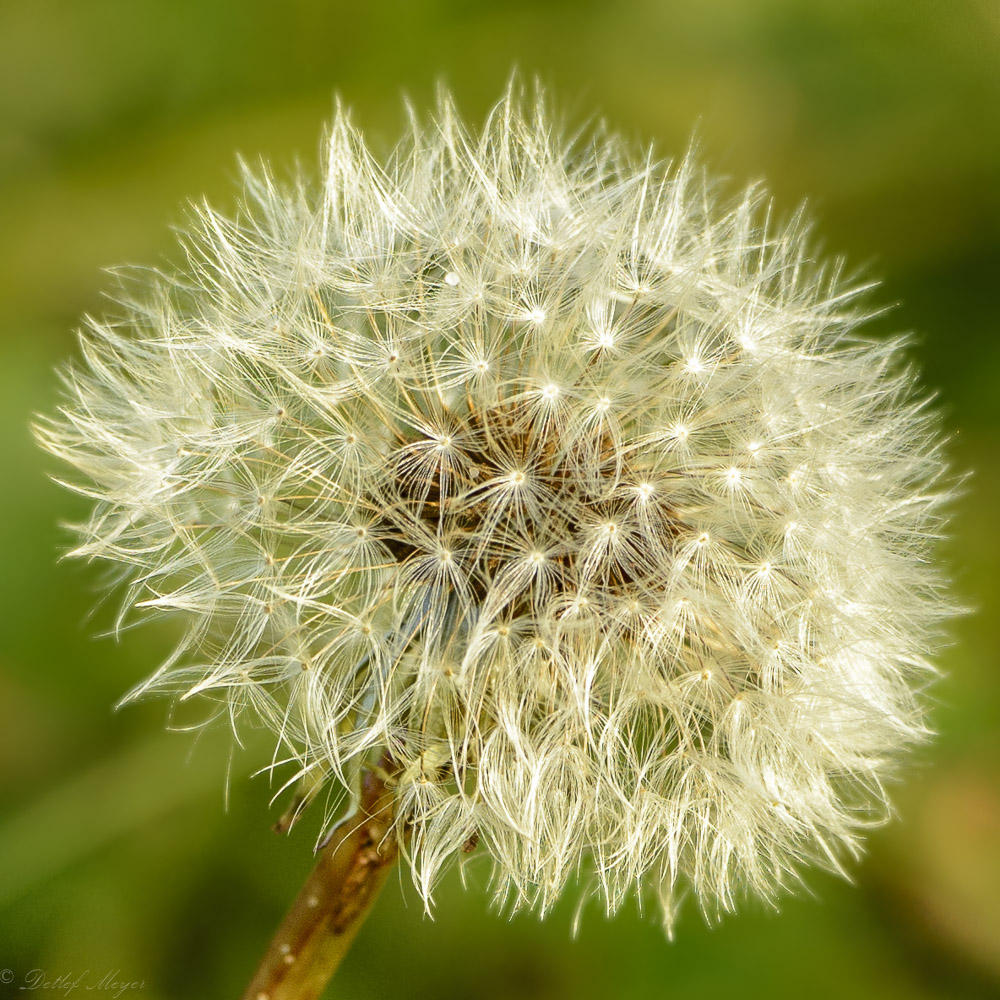 20151031  D716544