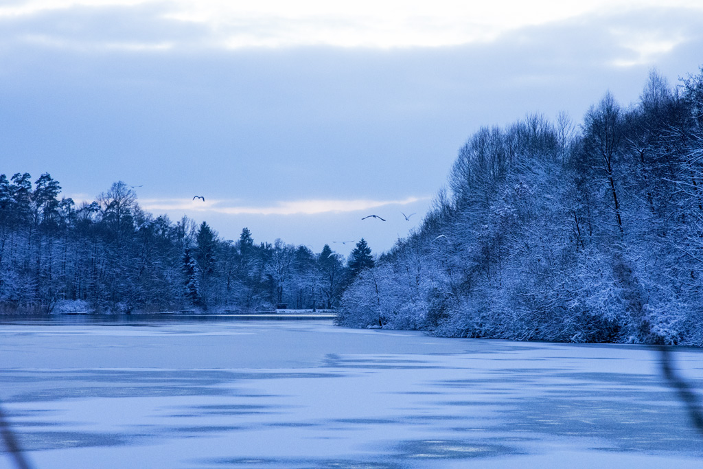 2016 01 17 DSC 2406