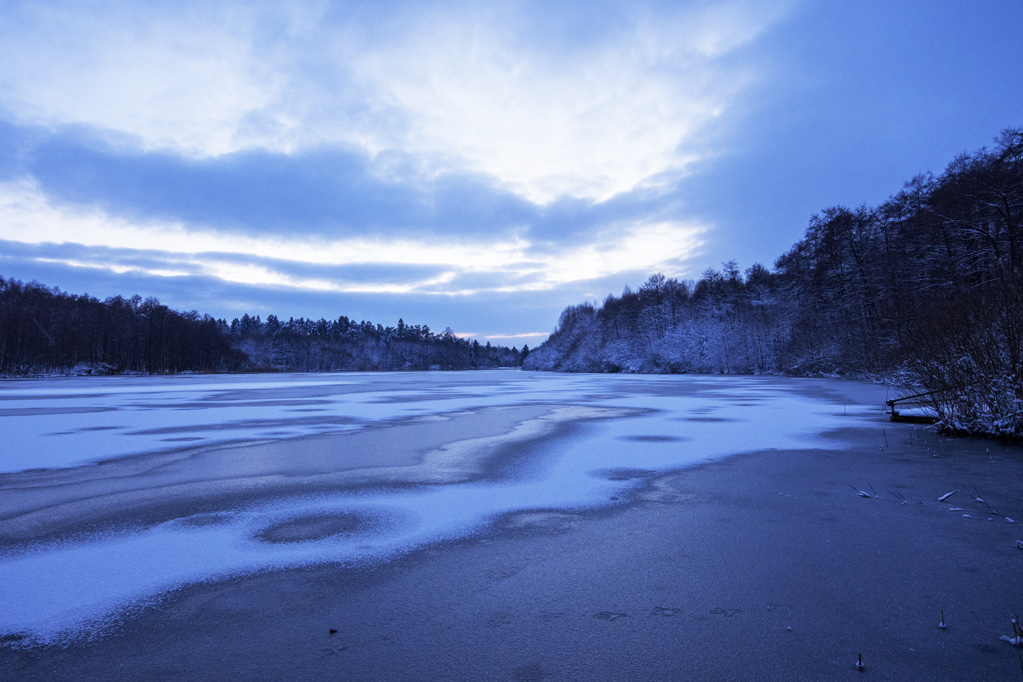 2016 01 17 DSC 2416
