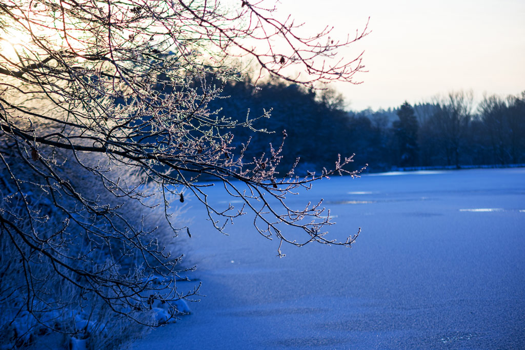 2016 01 18 DSC 2521
