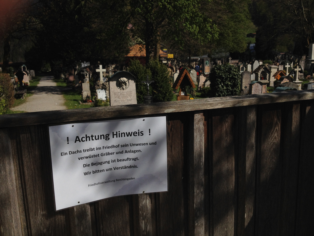 2016 04 29  15h56   Friedhof Berchtesgaden Schild Dachs  01