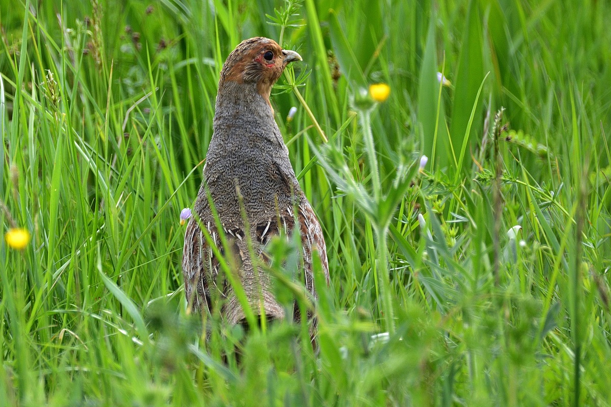 2016 09078