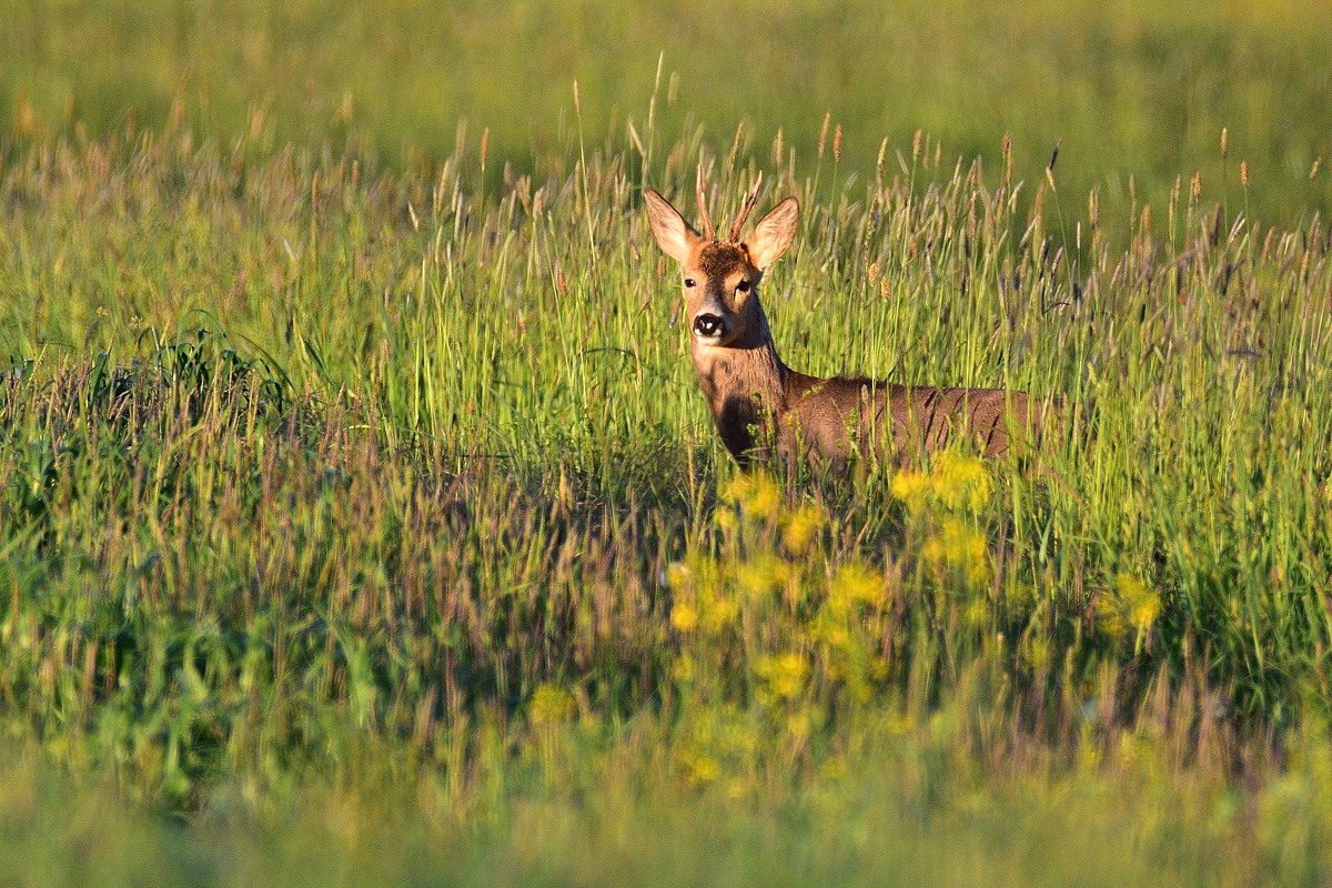 2016 09327