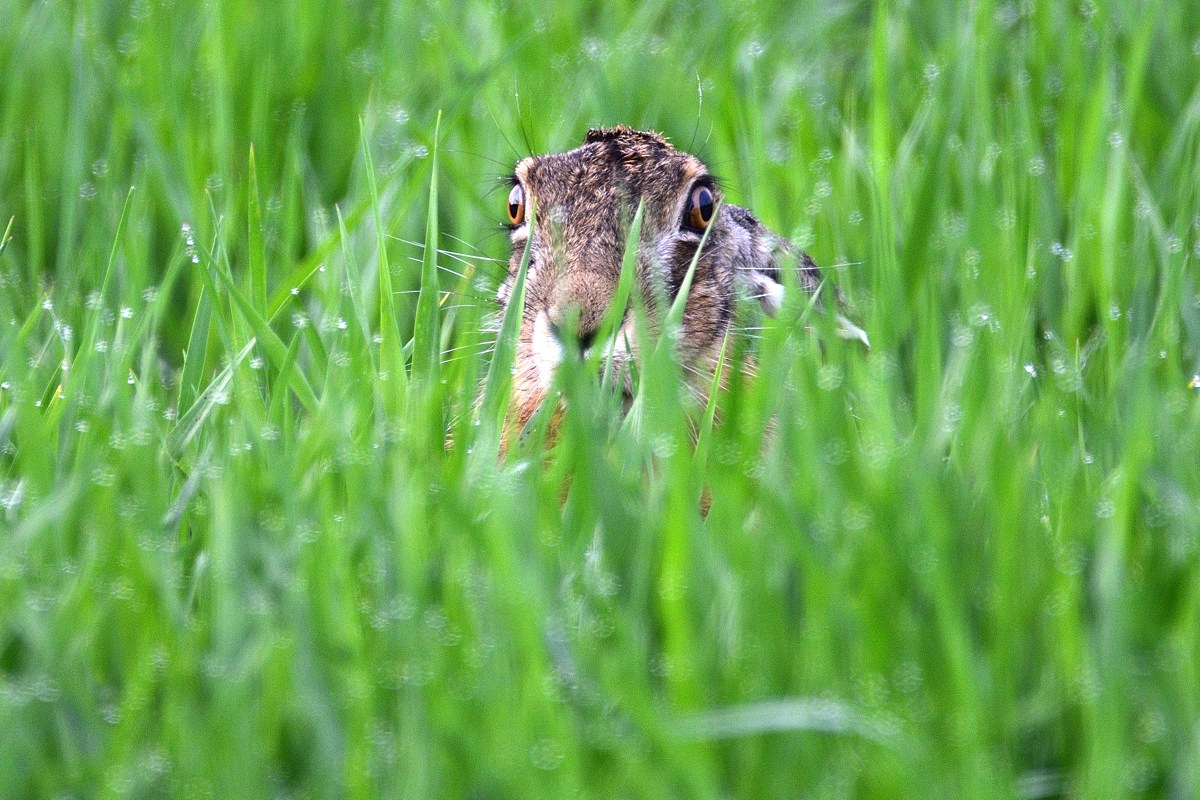 2016 09420