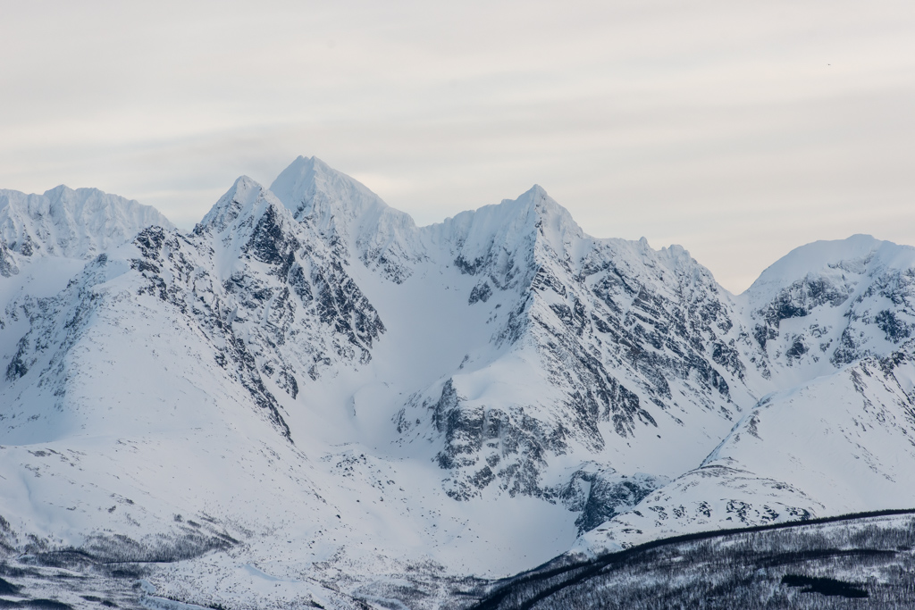 2016 Tromsø 115