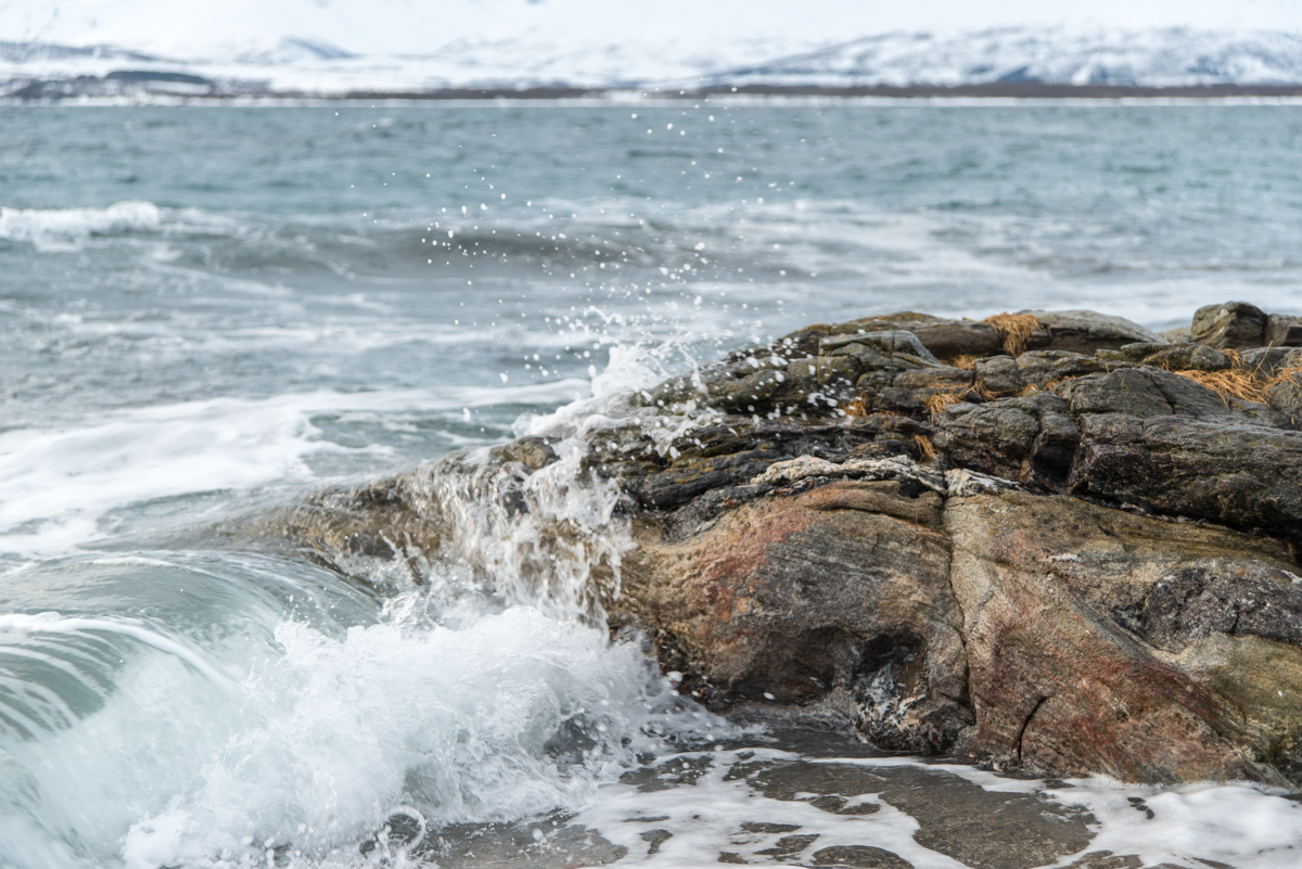 2016 Tromsø 133