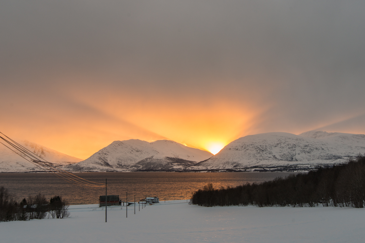 2016 Tromsø 142