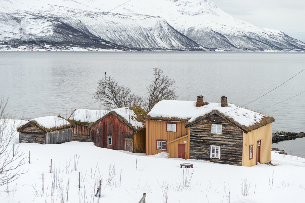 2016 Tromsø 24