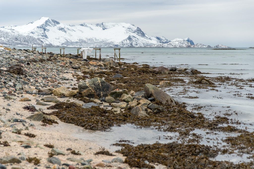 2016 Tromsø 27