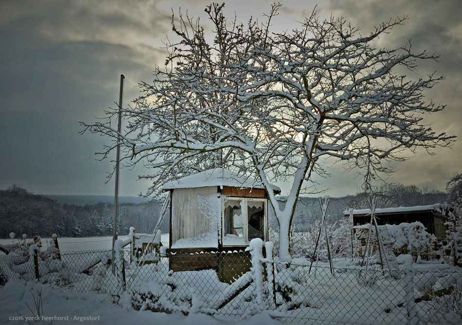 20160117 0003 Winterspaziergang Deister