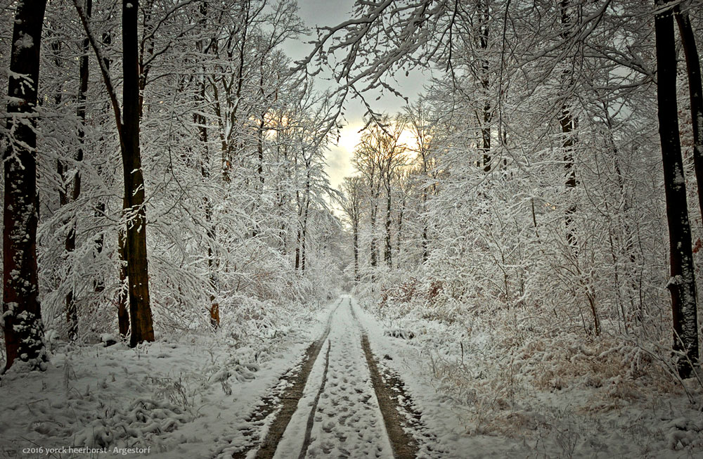 20160117 0013 Winterspaziergang Deister