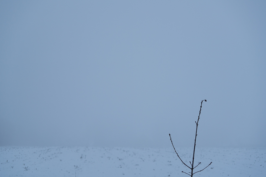 20160120 DSC03101
