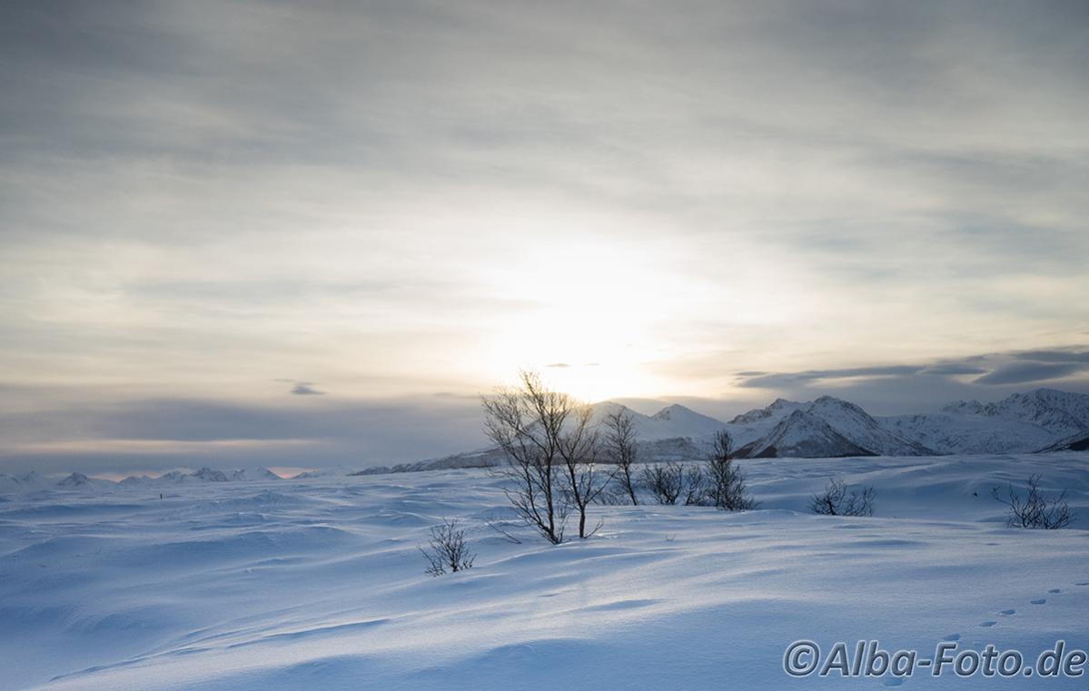20160213 DSC07239 Kopie