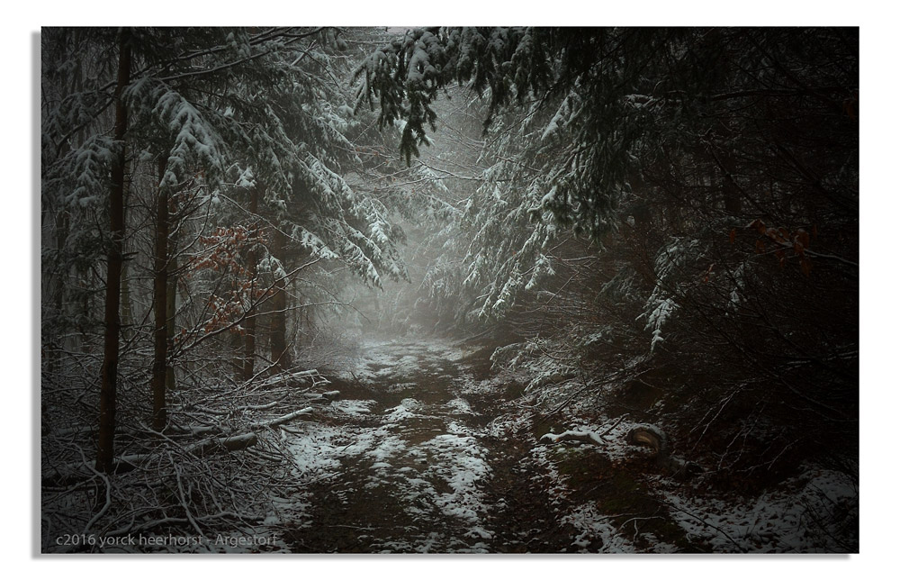 20160214 0009 Deister Nebel Lehmbrink