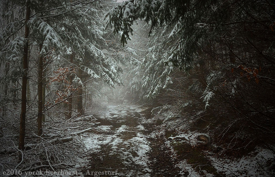 20160214 0009 Deister Nebel Lehmbrink