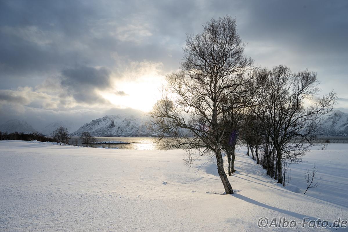 20160214 DSC07348 Kopie