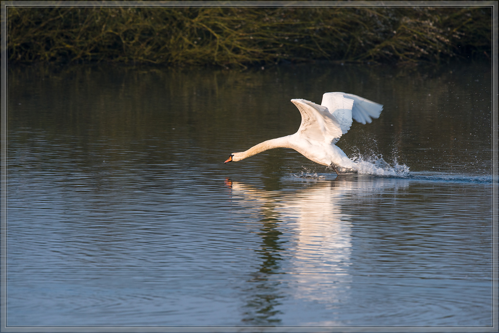 20160409 1220 [NIKON D810] 700 mm,1 640 Sek. bei ƒ   8,0