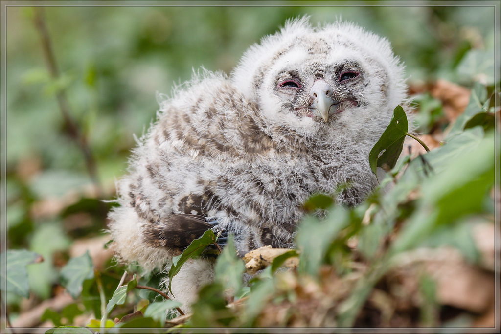 20160418 4183850 [E M1] 150 mm,1 200 Sek. bei ƒ   4,0