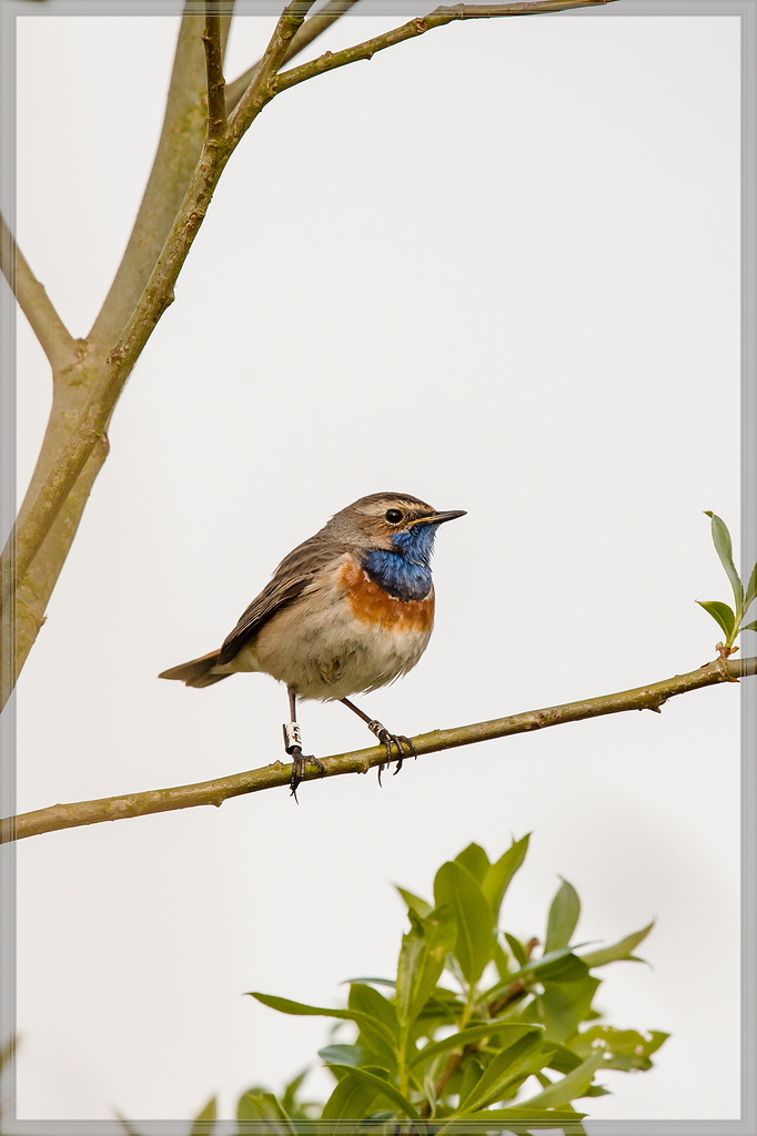 20160423 3565 [NIKON D4] 700 mm,1 1600 Sek. bei ƒ   7,1