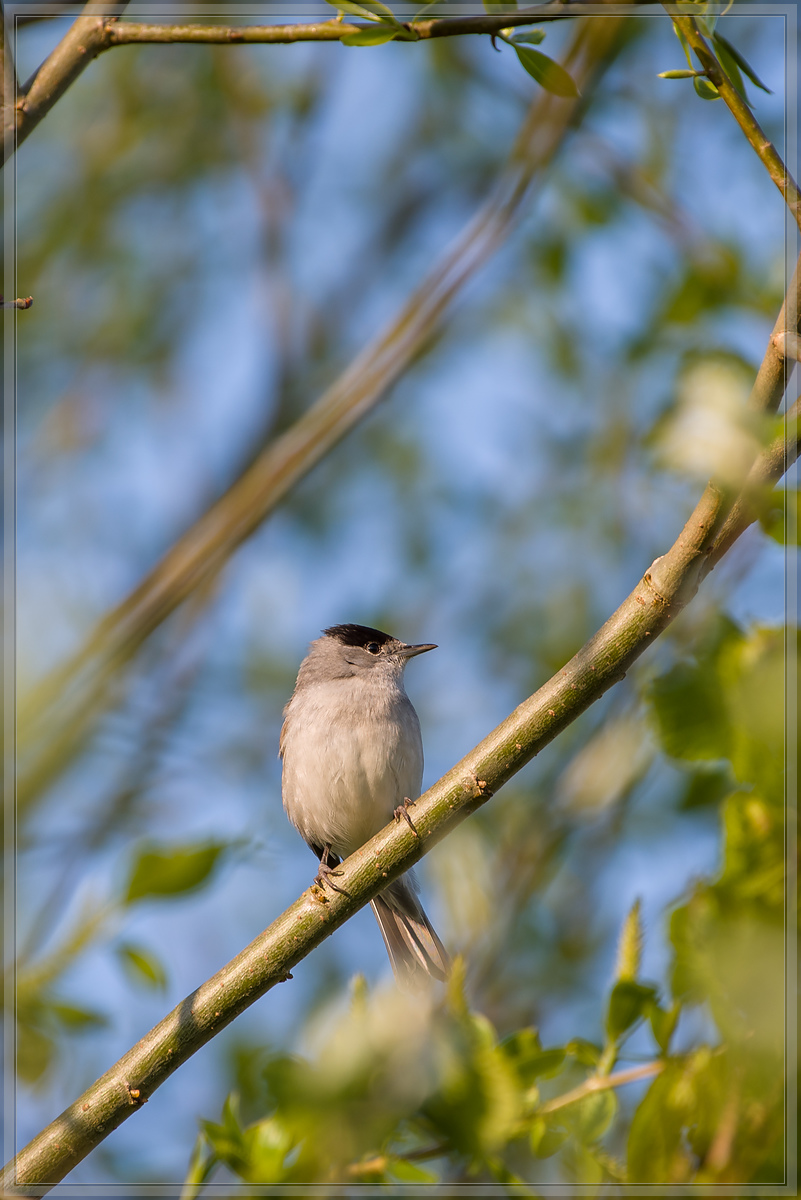 20160501 2220 [NIKON D810] 500 mm,1 160 Sek. bei ƒ   5,6