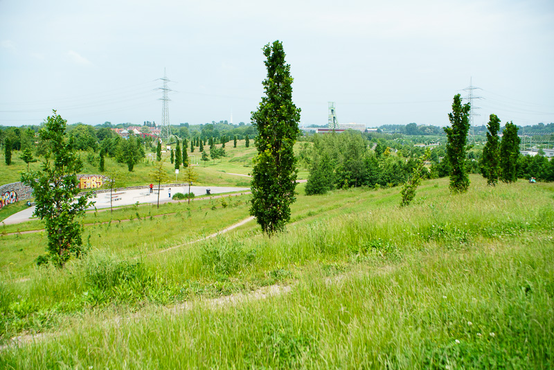 20160529 20160529 DSC03821