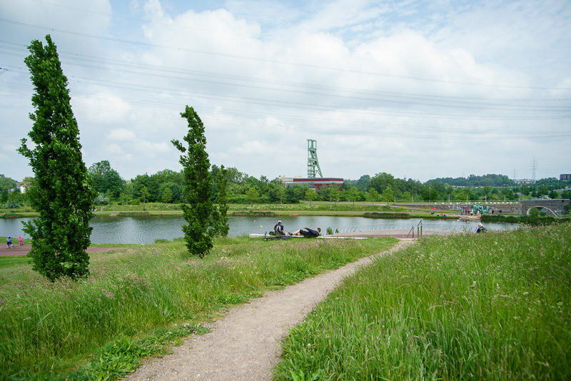 20160529 20160529 DSC03830