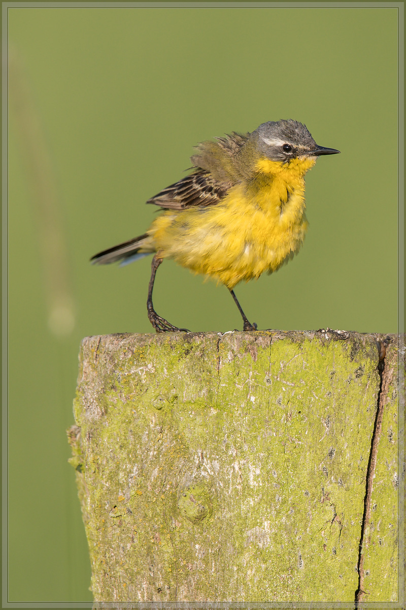 20160605 4922 [NIKON D500] 700 mm,1 640 Sek. bei ƒ   6,3