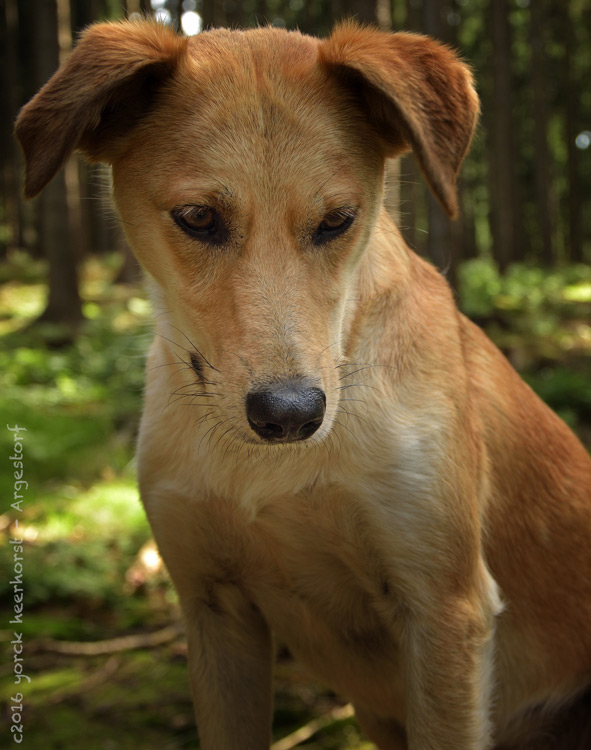 20160807 0039 Maggie Deister