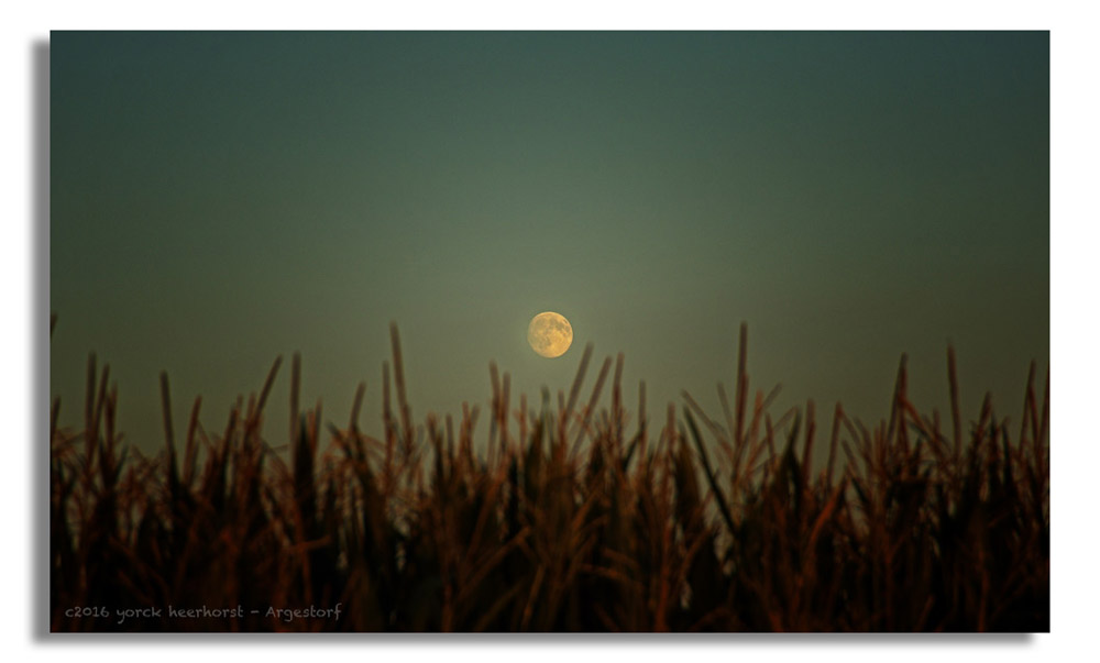 20160816 0031 Mond Degersen